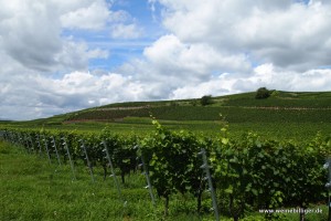 Weinbauregion Kaiserstuhl