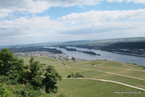 Blick vom Rüdesheimer Berg