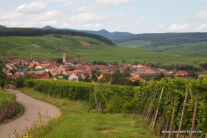 Die Weinregion Elsass