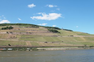 Rheingau Rüdesheimer Berg