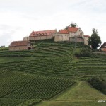 Weingut Schloss Staufenberg vom Markgraf von Baden