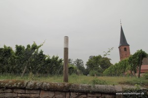 Weinlage Kirchenstück in Forst