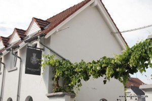 Weingut Dreissigacker in Bechtheim
