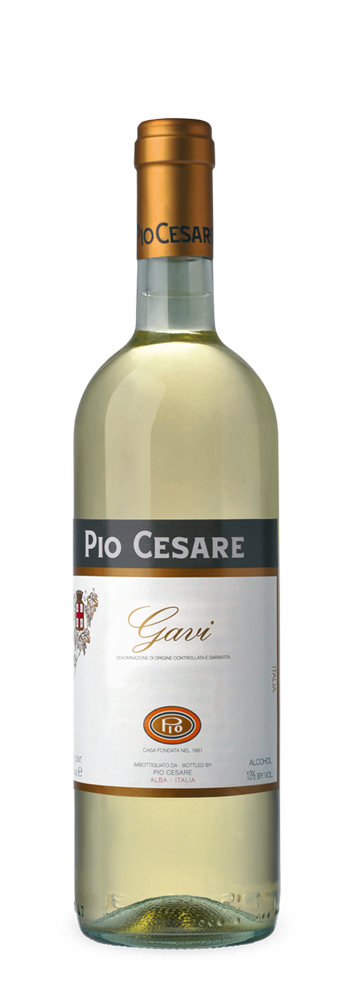 Gavi 2013 vom Weingut Pio Cesare